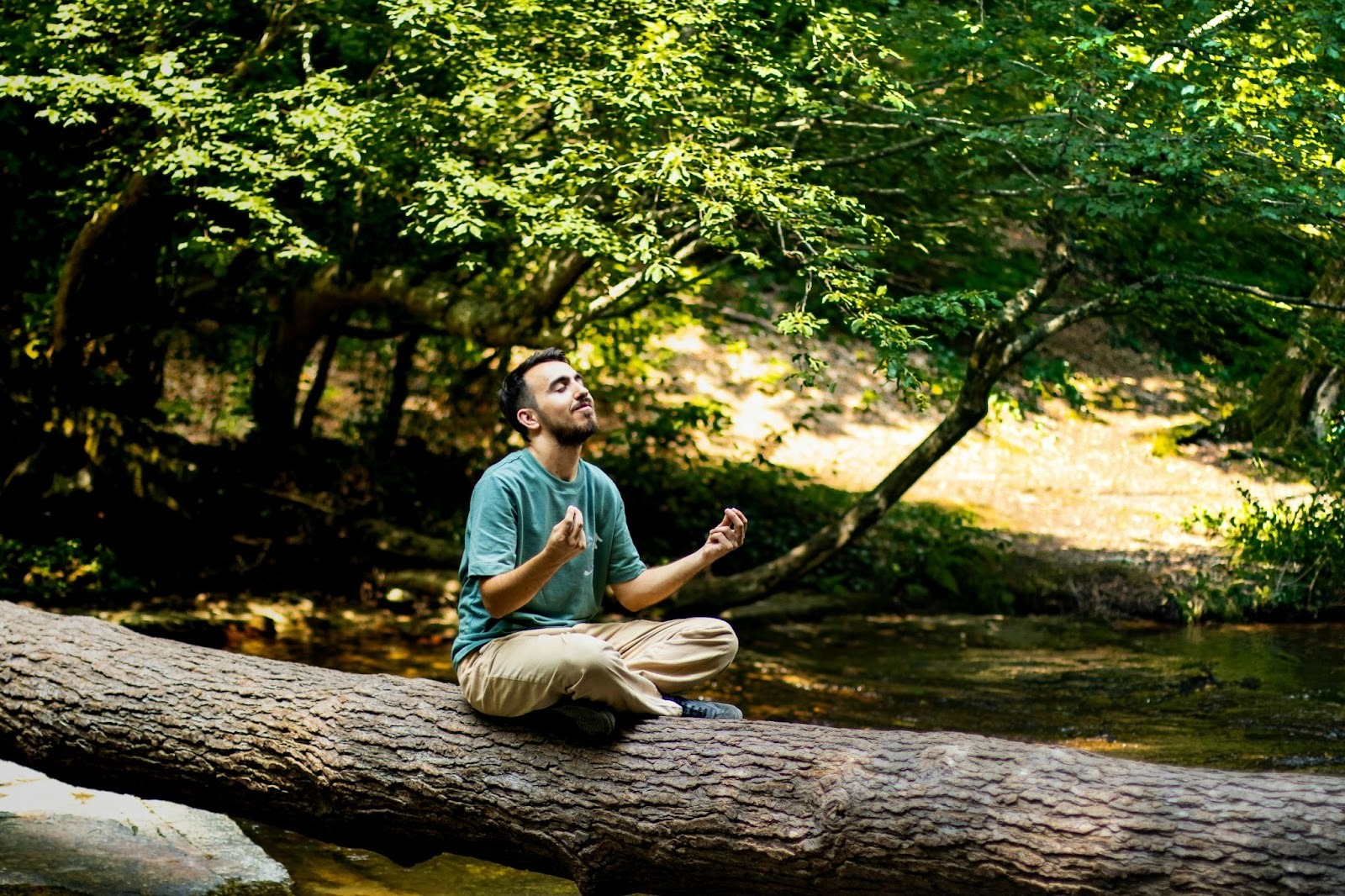 man meditating in nature on log for mindfulness practices